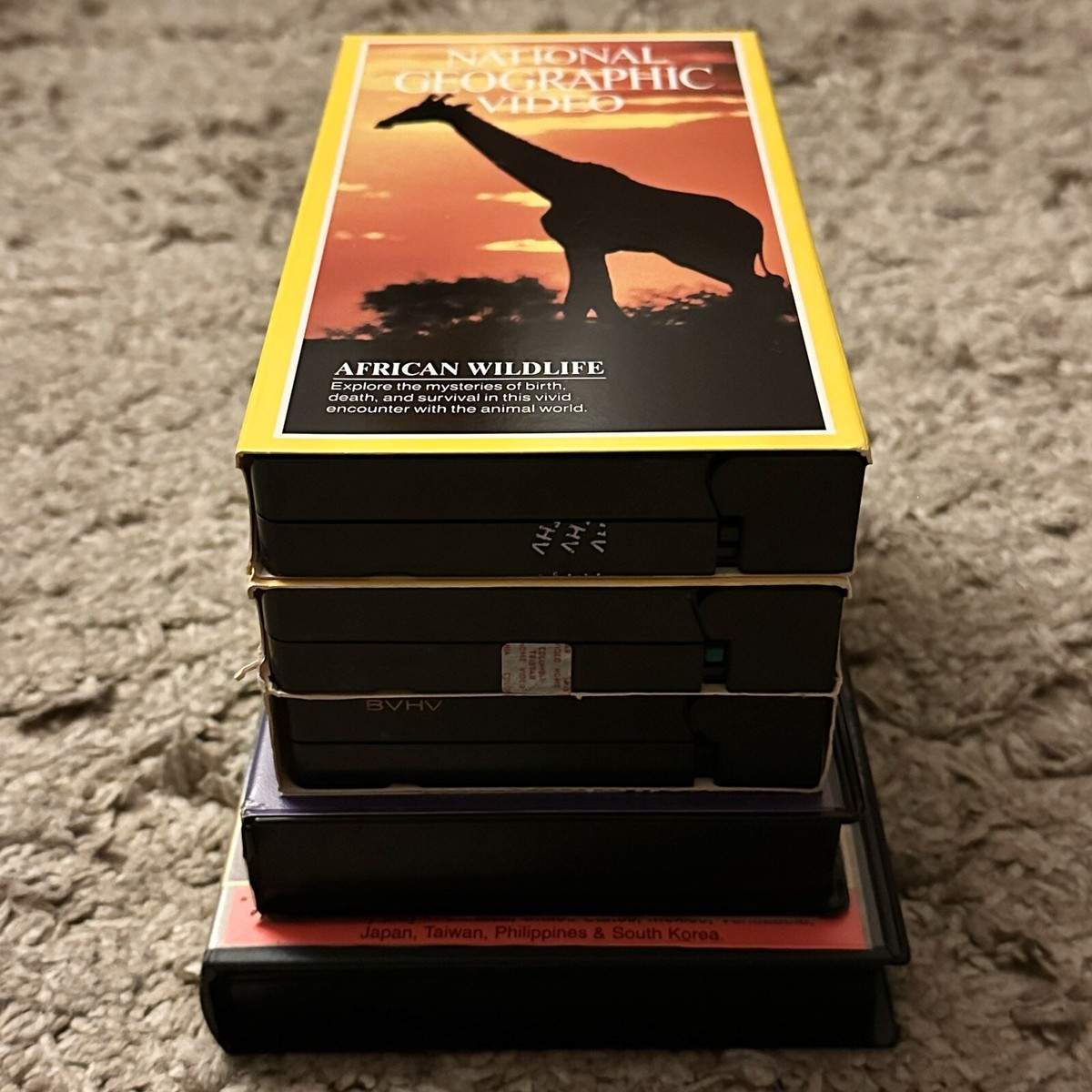 Lot Of 5 VHS Tapes - African Wildlife, Lions, Big Five Of Africa