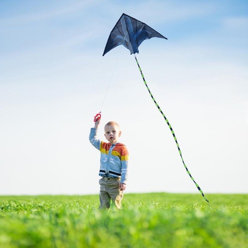 Cometa Delta Yongjian 2m - Cometa grande para acampar playa al aire libre para adultos y niños - Imagen 16 de 24