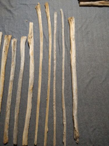 4ft-6ft Saguaro Cactus Skeleton Ribs Western Desert Art Decor Ooak - Picture 3 of 4