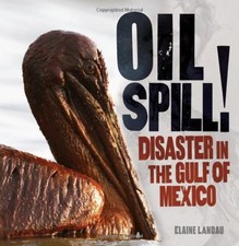 Oil Spill: Disaster in the Gulf of Mexico - Library Binding - GOOD