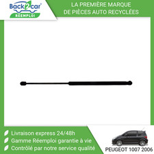 Verin de hayon / de capot Peugeot 1007