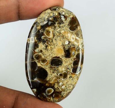 African Tutela Jasper Healing Gemstone Natural Mix Cabochon Certified