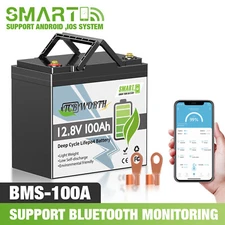 12V 100Ah LiFePO4 Lithium Battery BMS Solar Deep Cycle Off-grid RV Camper Marine