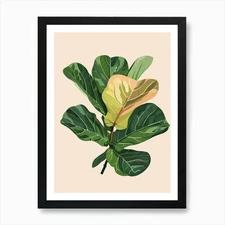 Fiddle Leaf Fig Plant Minimalist Il Framed Wall Art Poster Canvas Print Picture