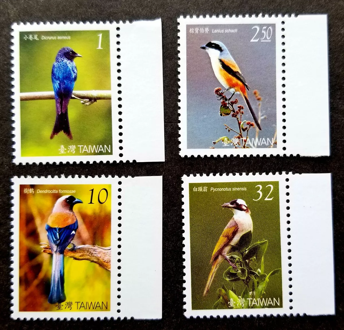 FREE SHIP Taiwan Birds II 2008 Fauna (stamp margin) MNH