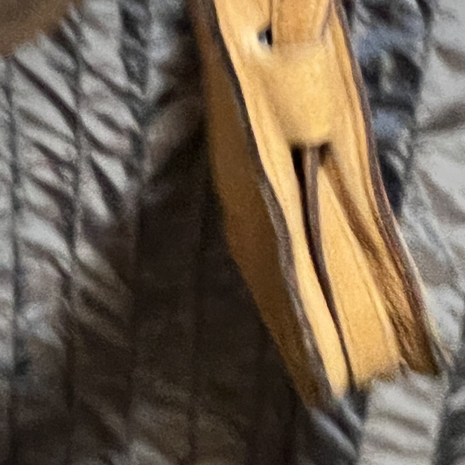 Picture 2 of 11