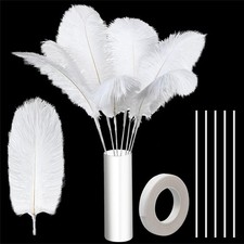 80 Pieces Ostrich Feathers Bulk Large Boho Feathers for Vase with 80 Pcs Iron