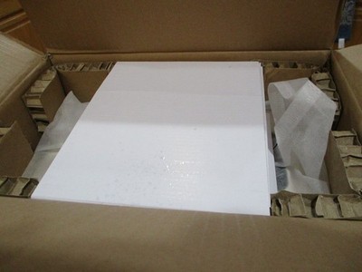 MOOER HORNET 15W GUITAR AMP BRAND NEW IN THE BOX.