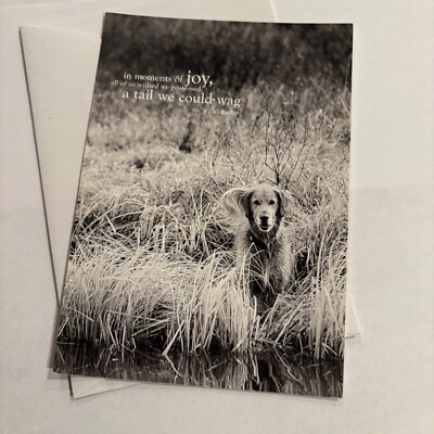 In The Moment of Joy Friendship Family Postcard with Envelope By Tailwags
