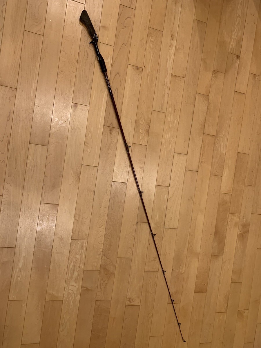 Rare Old Fenwick Lunkerstik 2000 2061 | eBay