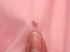 Foto 12 di 14