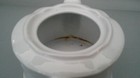 Picture 6 of 8