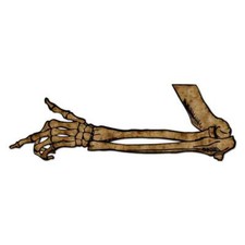 Skeleton Arm Bones Sticker Decal