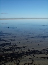 Meihs Zinnteller schwer massiv Wandteller Teller Lilie Sandgußverfahren Handmade