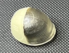 Ace V1  Helmet G.I. Joe 1983 Hasbro Vintage Action Figure Original No REPRO