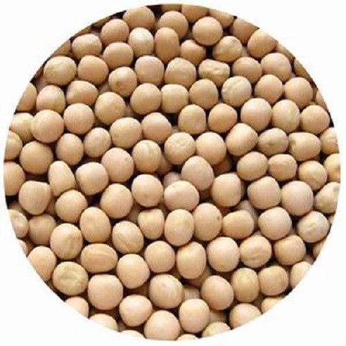 Pulses | Beans | Lentils for Indian cooking | Freshly Packed | Direct from India - Picture 4 of 22