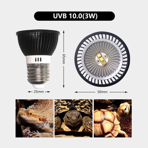 UVB Light Bulb 3W UVB Full Spectrum UVA LED Lamp for Tropical Desert Reptile - Picture 14 of 16