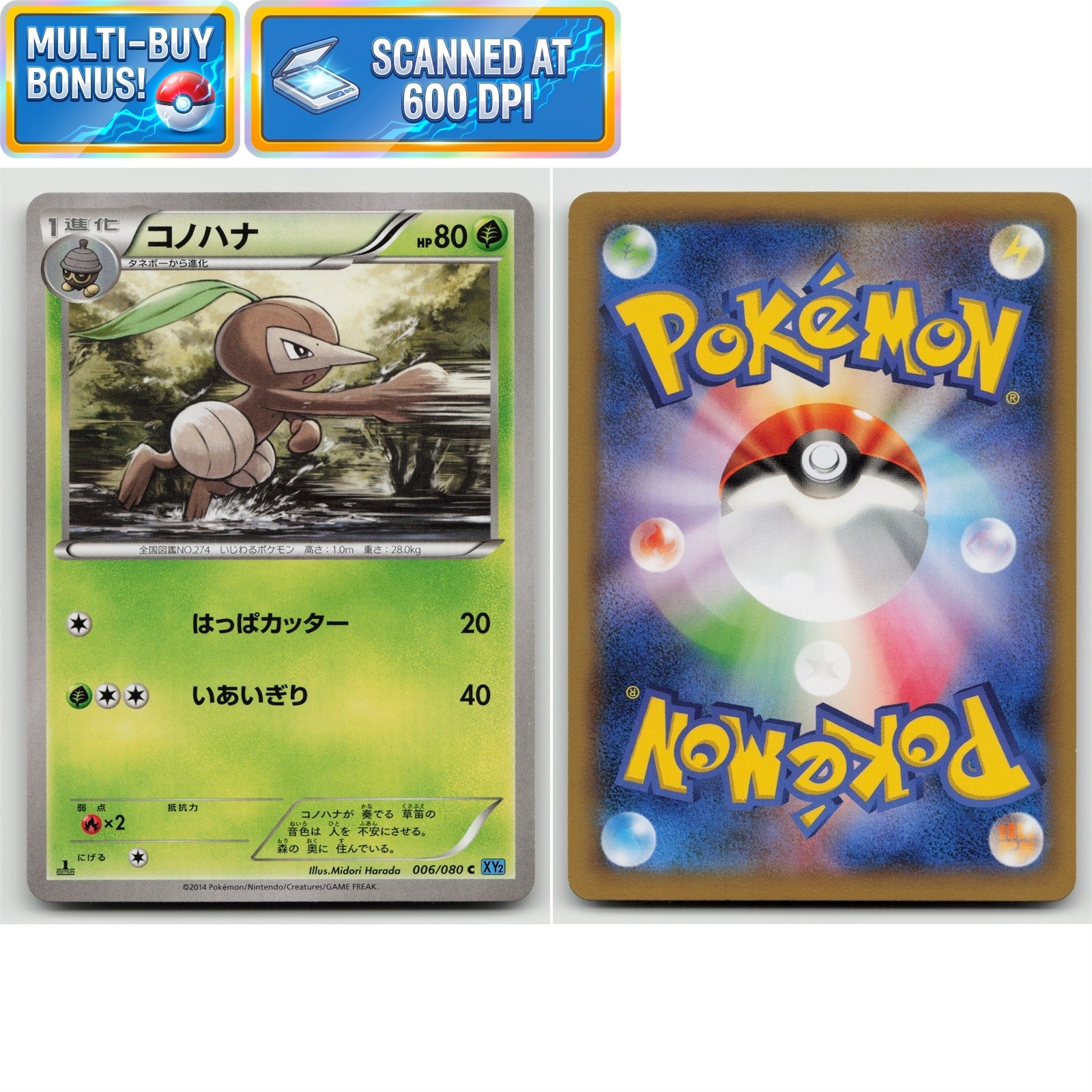 Nuzleaf 1st Edition 006/080 Wild Blaze XY2 NM Japanese Pokémon TCG Card