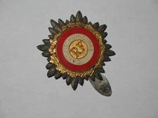 city council pin badge