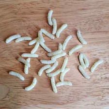 100 pack of .5" soft plastic maggots - choose from 13 colors - MADE IN USA