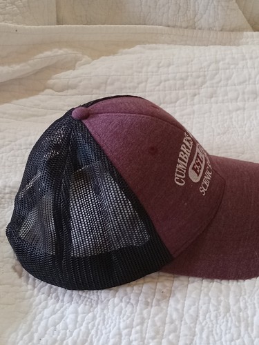 Snapback Cap Scenic Railroad Cumbres & Totecc Mesh Triangle Sport Headwear - Picture 4 of 5