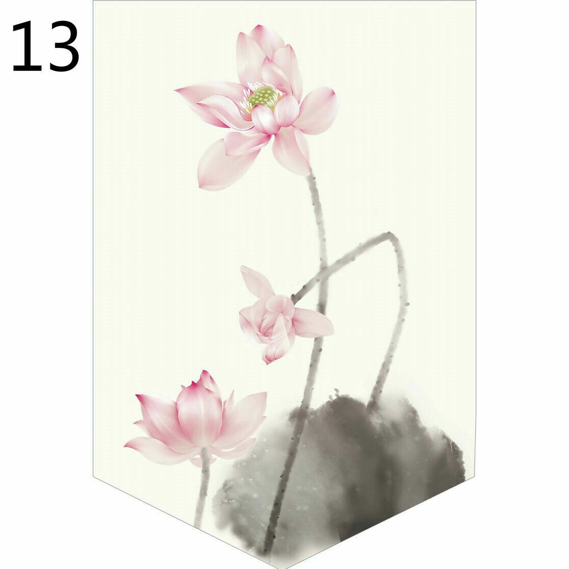 Foto 17 di 19