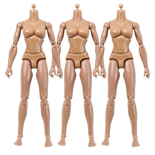 3er Set Deluxe weibliche 8 Zoll artikulierte Fleischkörper (Yvonne) - Bild 1 von 2