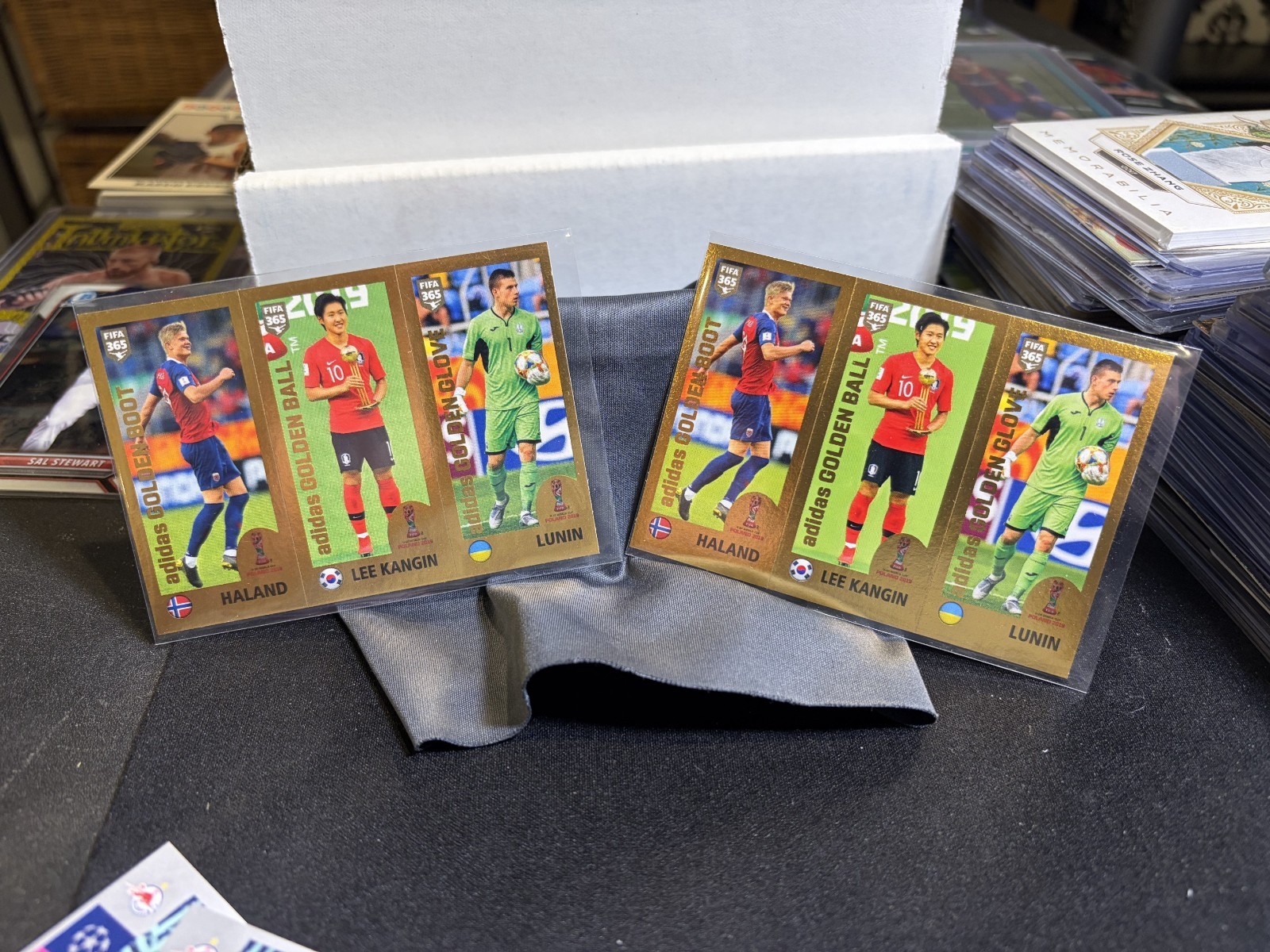 2019 Panini FIFA 365 Erling Haaland RC Sticker 421 GRAY Back & 427 BLUE Back