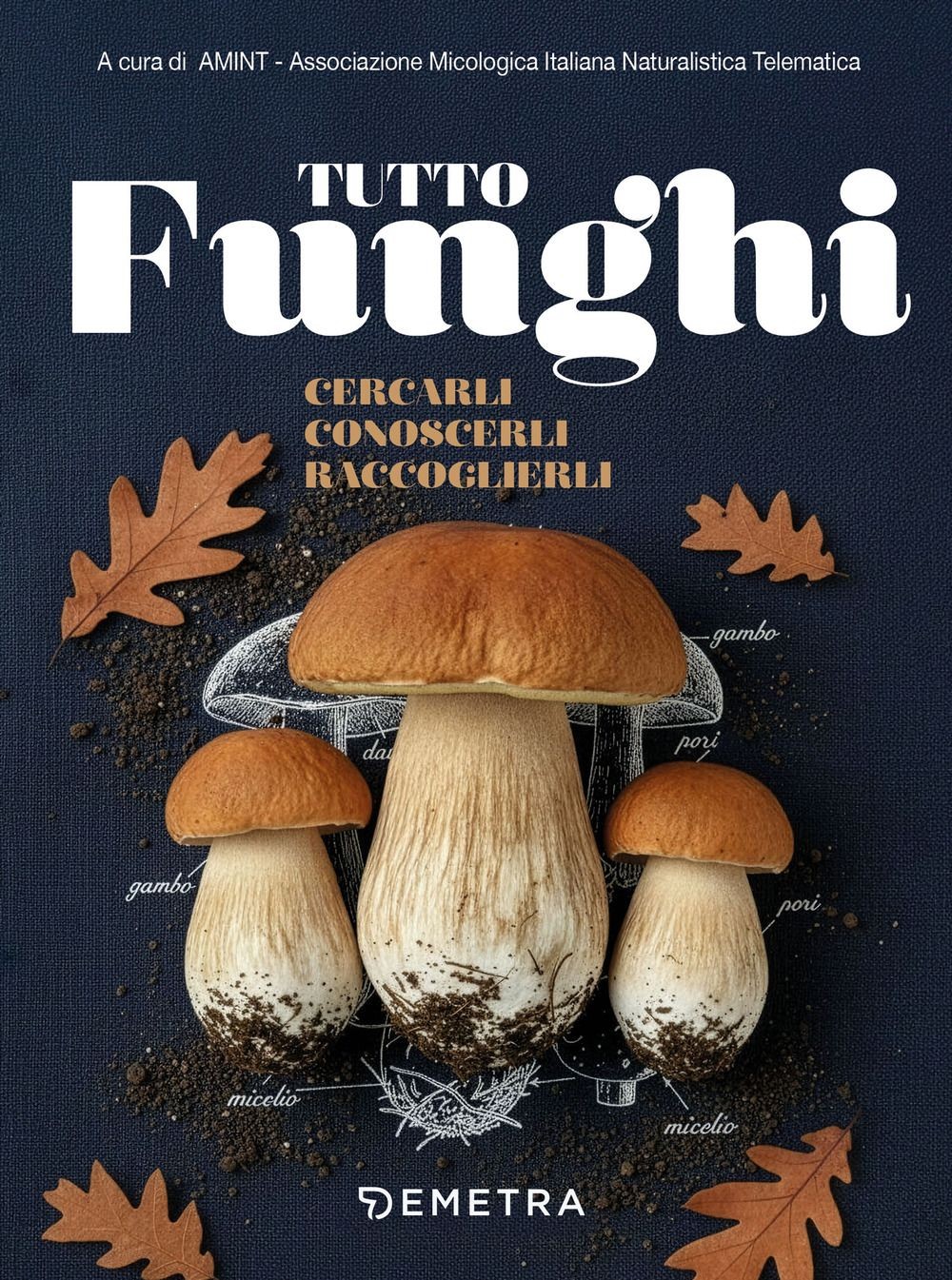 Libri Tutto Funghi. Cercarli Conoscerli Raccoglierli