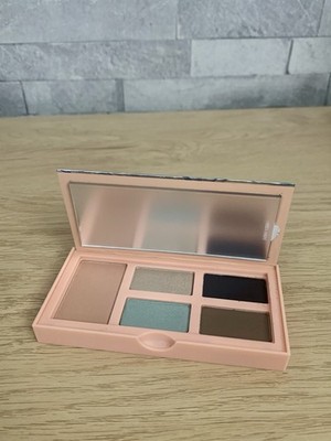 Clinique Limited Edition Eye & Cheek Palette All About Shadow & Blushing Blush