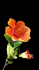 Large Orange Hibiscus stem silk flowers
