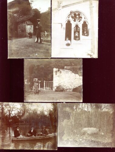 5 photos ancienne.Château de la Bussière.meute de chiens.chasse.Coco le sanglier - Photo 1/1