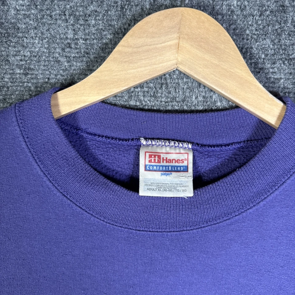 Sudadera De Colección Minnesota Vikings Para Hombres XL Púrpura Años 90 NFL Fútbol EE. UU. Foto 3 de 4