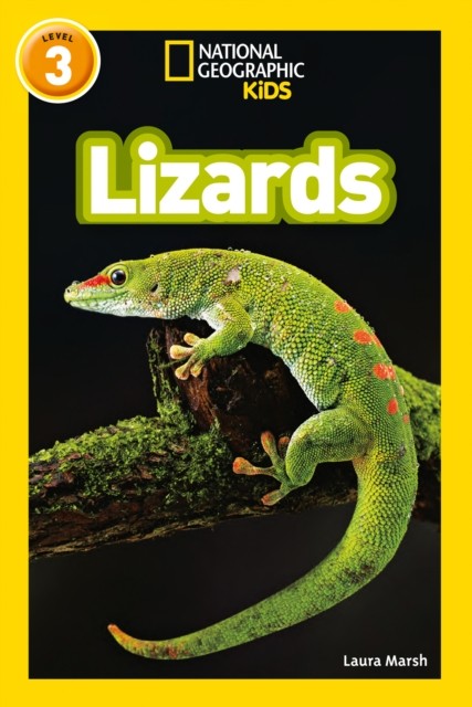Lizards Level 3 by Laura Marsh (Paperback Book) - Image 6