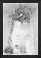 British Shorthair kitten 3 Framed Wall Art Poster Canvas Print Picture