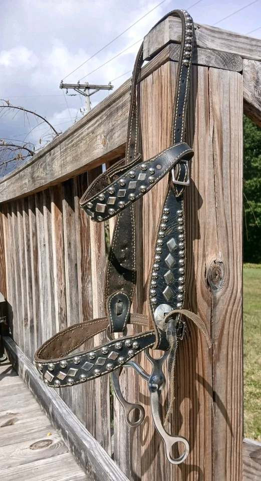 CABESTRO DE EXHIBICIÓN PLATEADO CON TACHUELAS EN CUERO NEGRO CON BANDA PARA NARIZ Y CEJAS Y UNA BROCA CON VÁSTAGOS Foto 3 de 4