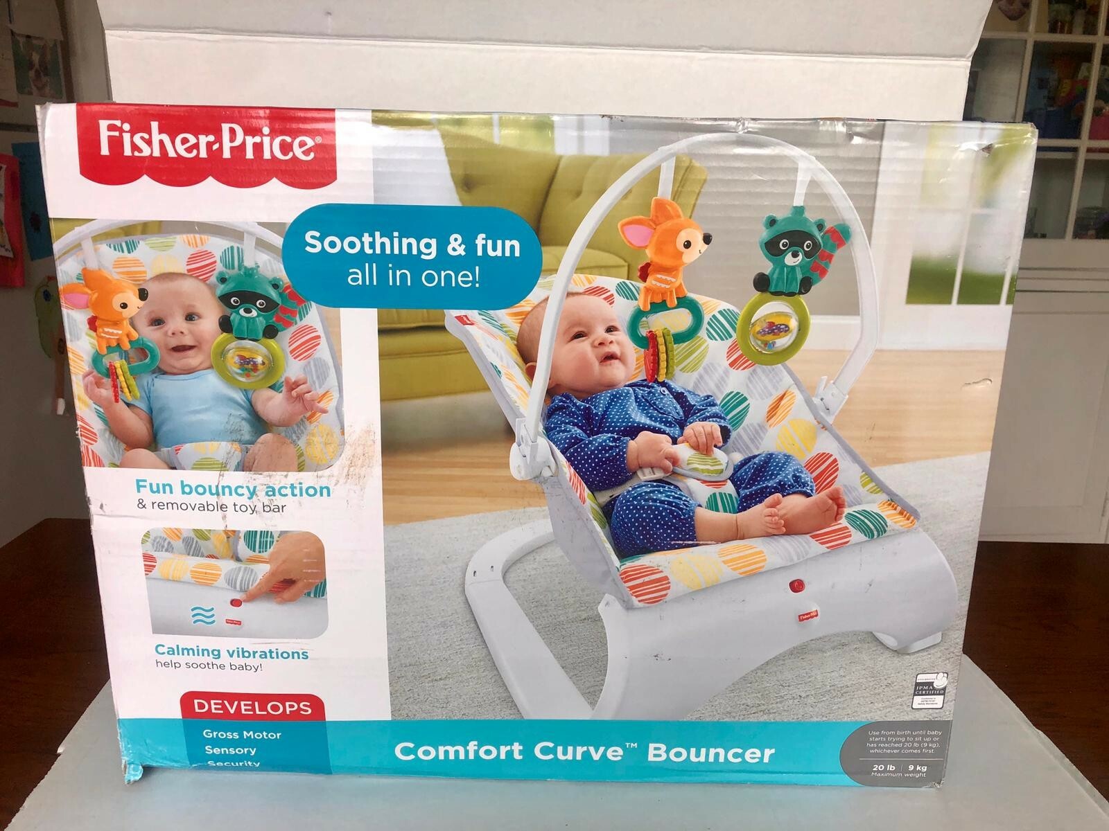 fisher price curve bouncer