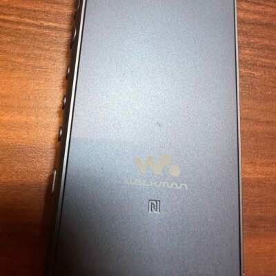 SONY Walkman NW-A106 Digital Audio Player 2344 From Japan | eBay