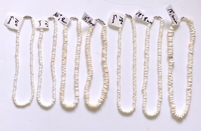 Genuine White Puka Shells Choker Necklace 5-8-10mm Hawaiian Surf Chic ...