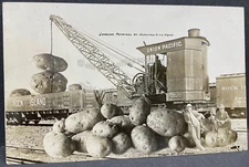 Junction City,Kansas-Train-Loading Potatoes Exaggeration Postcard-RPPC-E.J. Kuhn