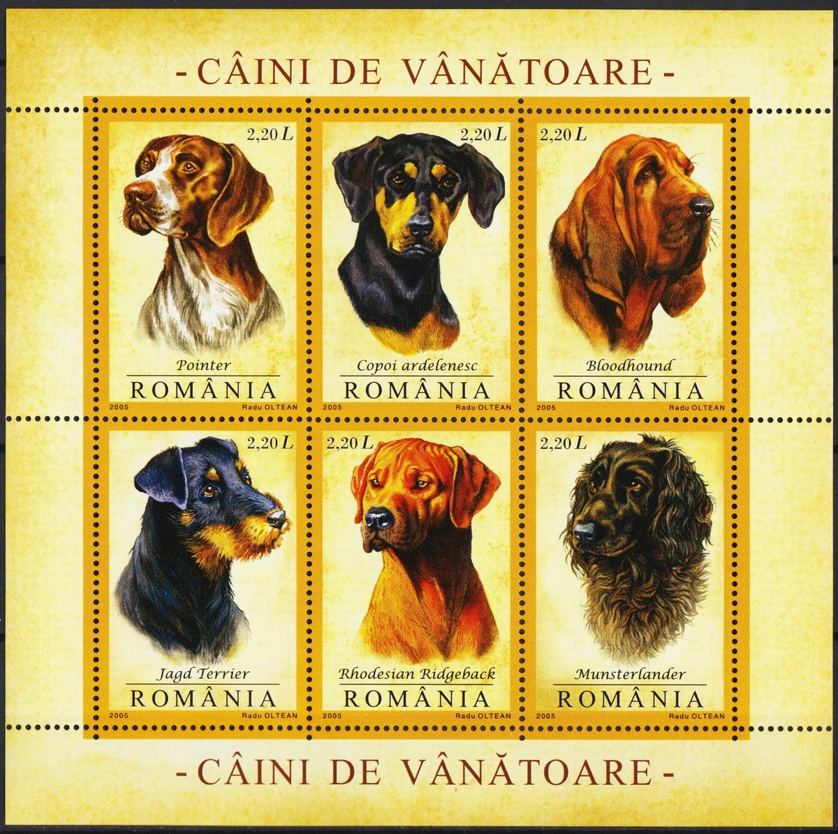 Romania 2005 Hunting Dogs Pointer Transylvanian Hound Bloodhound Terrier Cani
