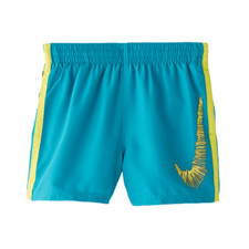 Nike Boys 4 Volley Short Spirit Teal Color Size Medium