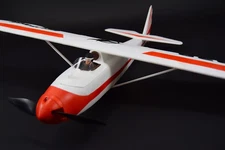 The Ravens Forge Eclipson WOLF 3D Printed HYBRID RC Airplane Kit