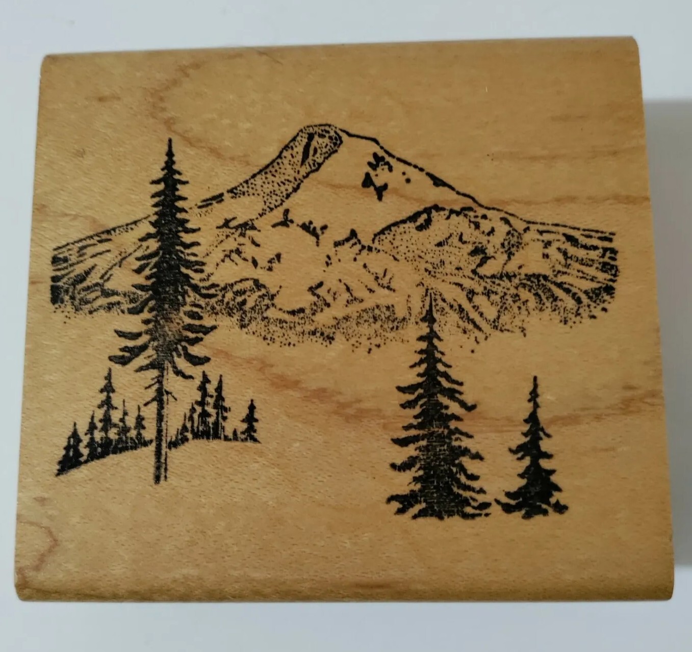 Embossing Arts Rubber Stamp Sweet Home OR Mountains Trees Scenery Landscape Wood