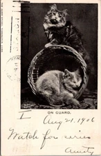 THE ALBEE STUDIO - ONGUARD - TORRINGTON CONN. ANTIQUE 1907 POSTCARD. A10