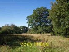 Photo 6x4 Field near Stonequarry Farm Beaworthy This field, alone beside  c2007