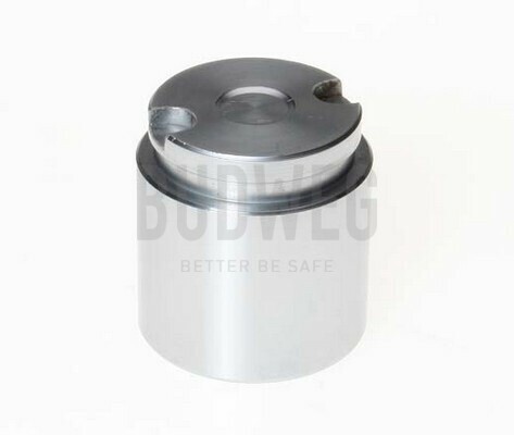 Kia Budweg 233858 Brake Caliper Piston Replacement