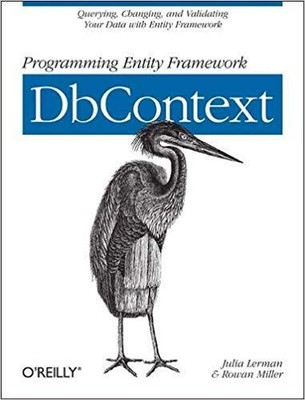 Julia Lerman - Programming Entity Framework  DbContext - New Paperbac - S9000z