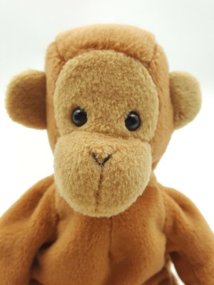 ty bongo monkey