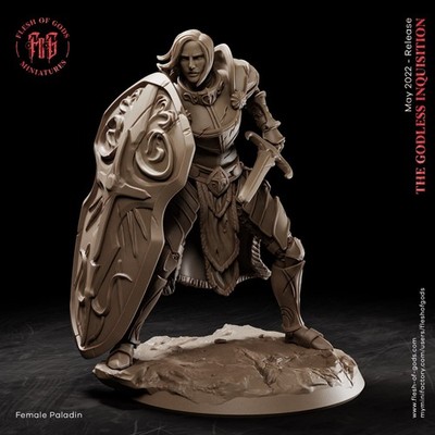 hero female paladin DND d und d 32mm
